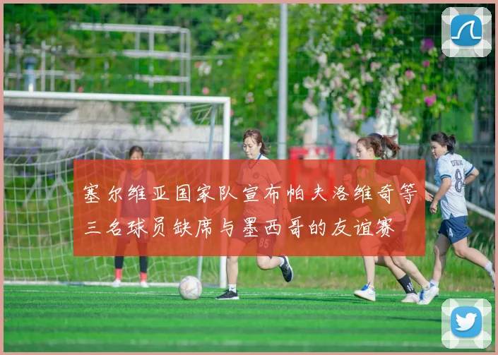 塞尔维亚国家队宣布帕夫洛维奇等三名球员缺席与墨西哥的友谊赛