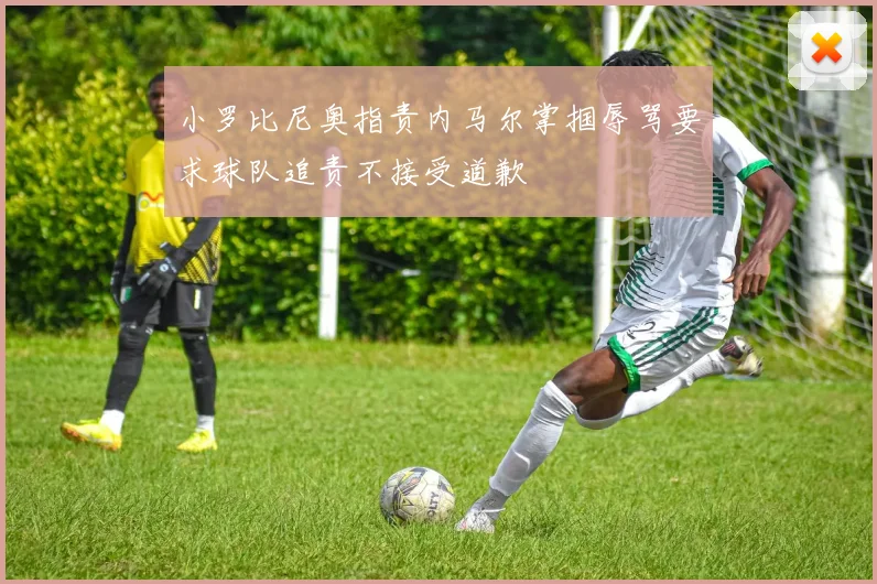 小罗比尼奥指责内马尔掌掴辱骂要求球队追责不接受道歉